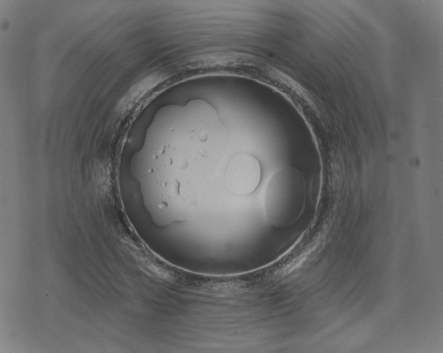 X0000072990778200607211158