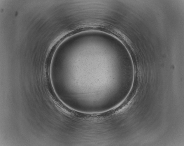 X0000072990779200607211158