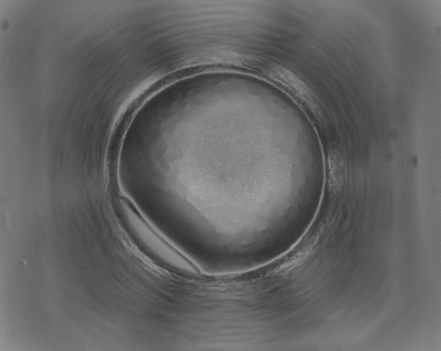 X0000072990780200607211158