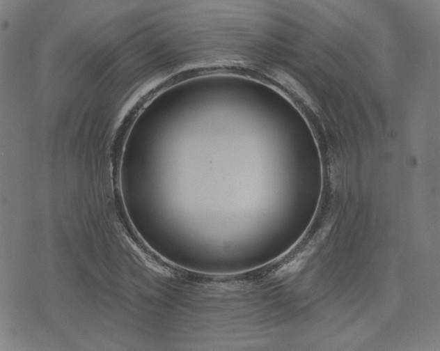 X0000072990781200607211158