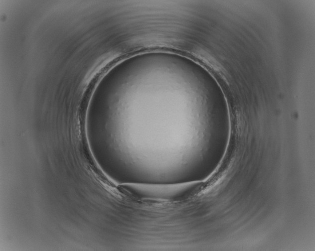 X0000072990782200607211158