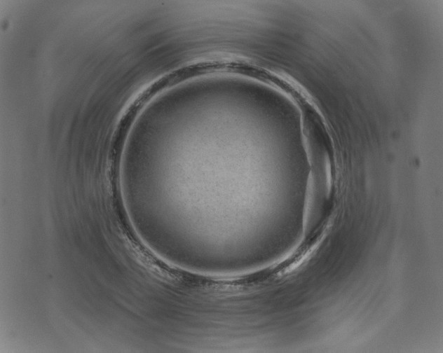 X0000072990783200607211158