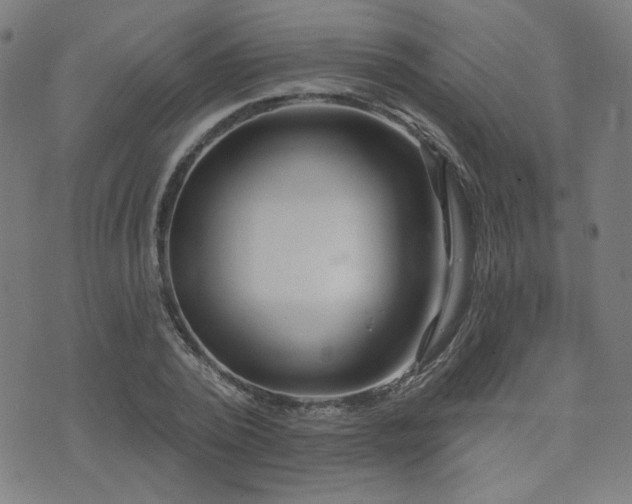 X0000072990784200607211157