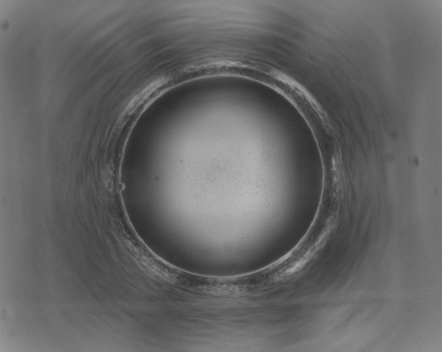 X0000072990785200607211157