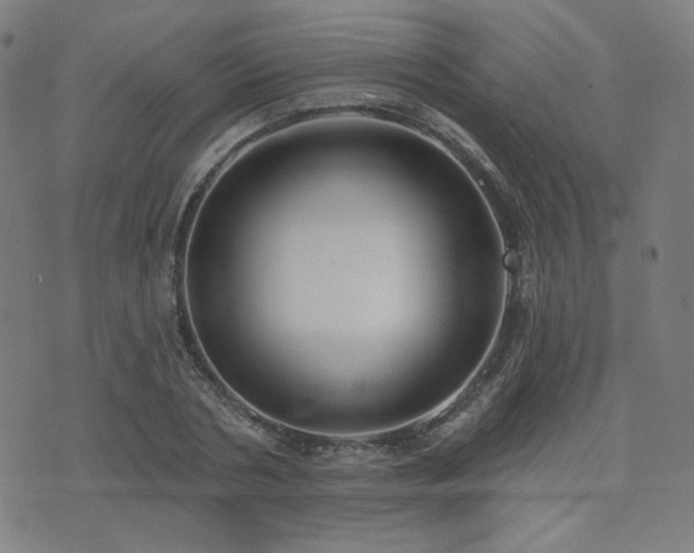 X0000072990786200607211157