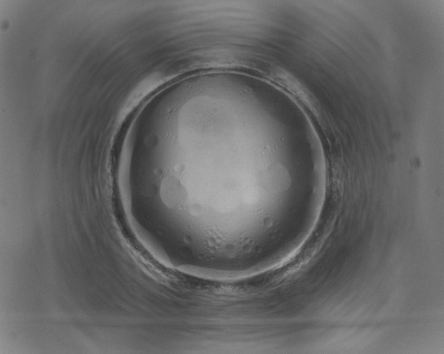 X0000072990787200607211157