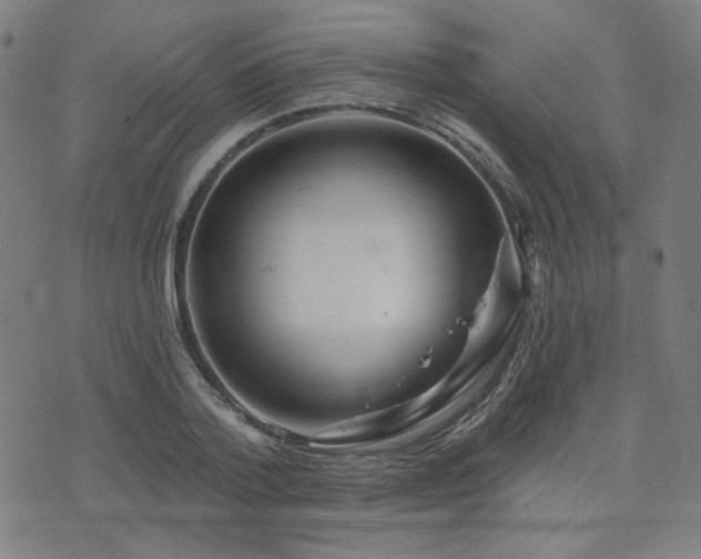 X0000072990788200607211157