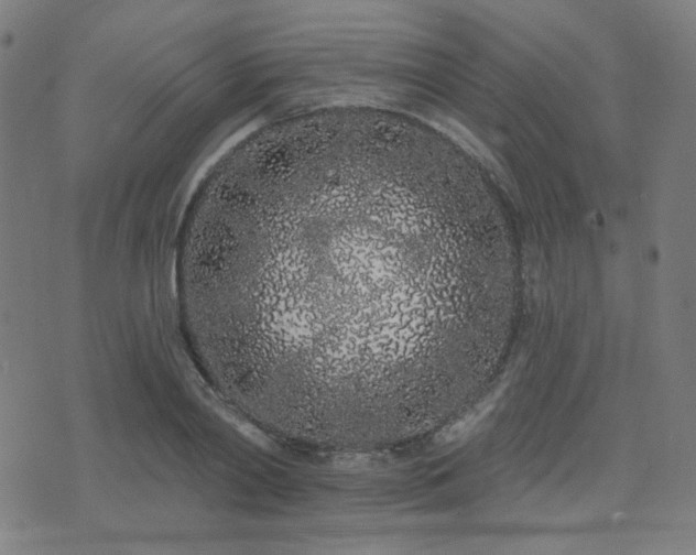 X0000072990790200607211157