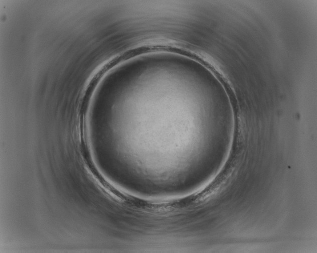 X0000072990791200607211157