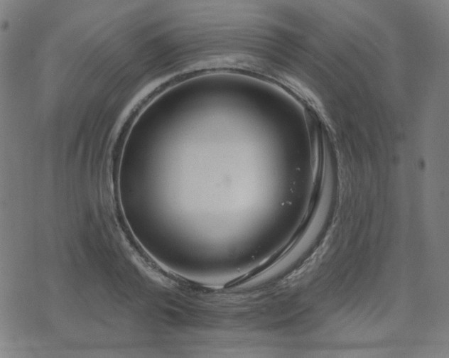 X0000072990792200607211157