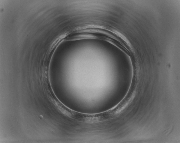 X0000072990793200607211157