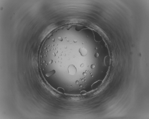 X0000072990794200607211157