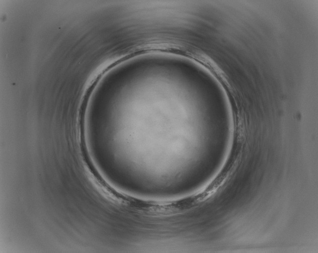 X0000072990795200607211157