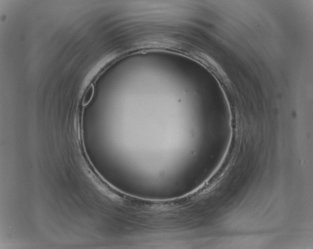 X0000072990796200607211157