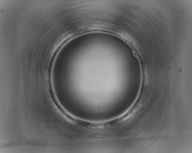 X0000072990798200607211157