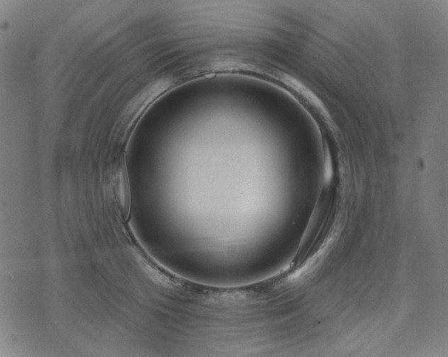 X0000072990801200607211157