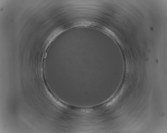 X0000072990802200607211157