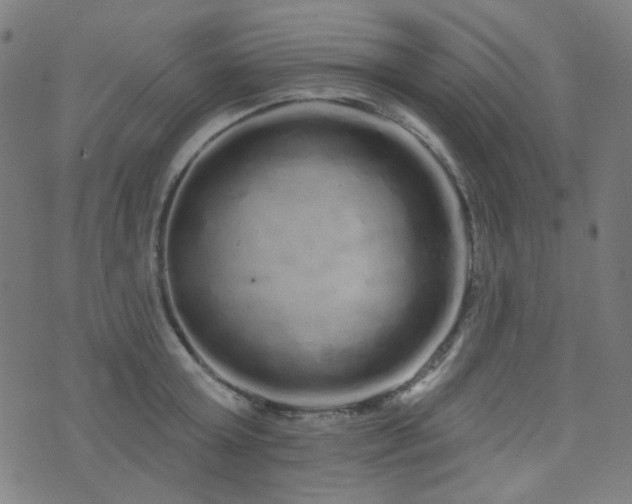 X0000072990803200607211157