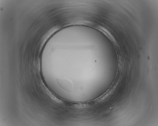 X0000072990804200607211157