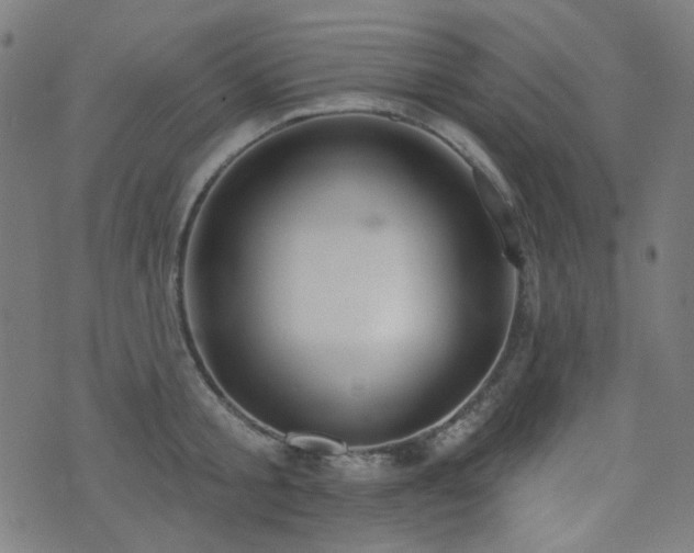 X0000072990805200607211157