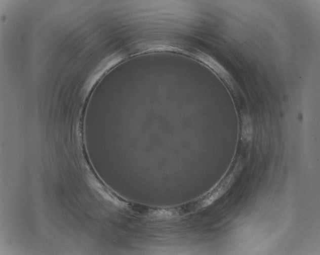 X0000072990806200607211157