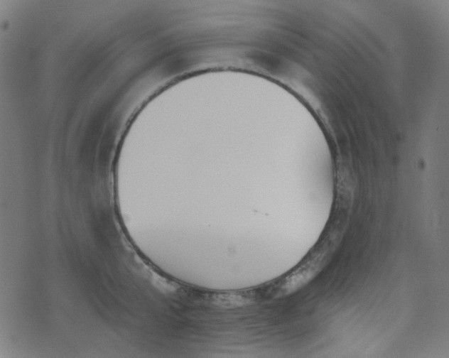 X0000072990807200607211157