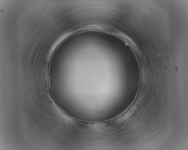 X0000072990808200607211157