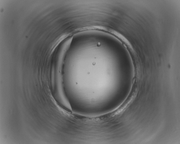 X0000072990809200607211157