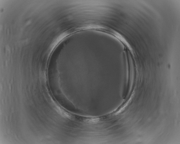 X0000072990810200607211157