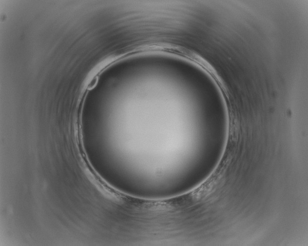 X0000072990811200607211157