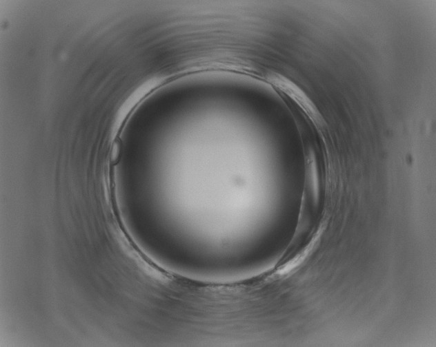 X0000072990812200607211157