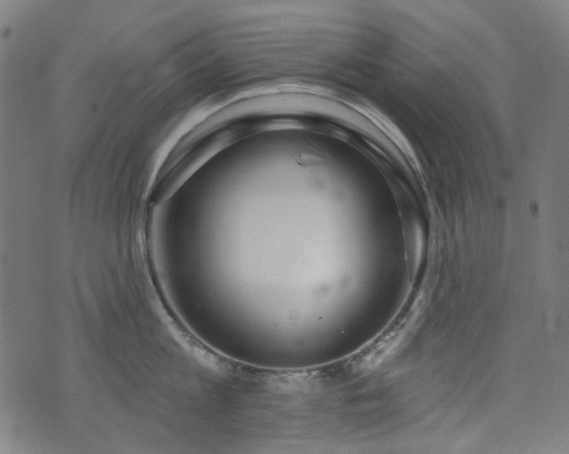 X0000072990813200607211157