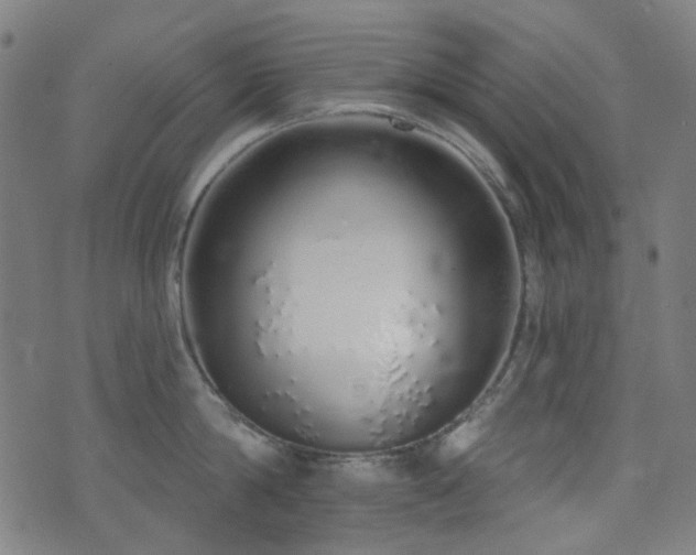 X0000072990814200607211157