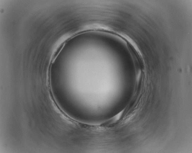 X0000072990815200607211157