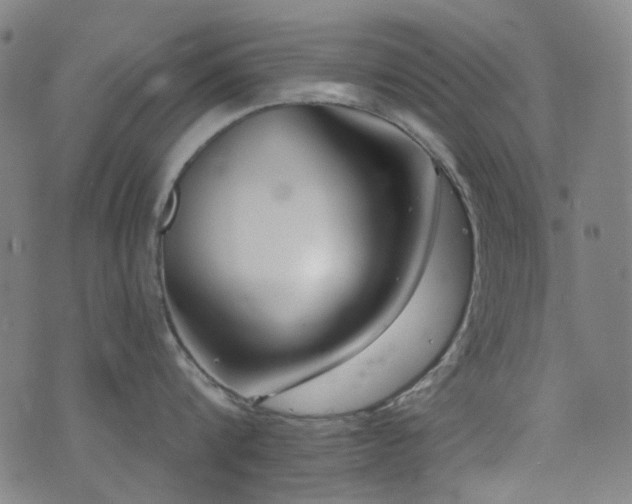 X0000072990816200607211157