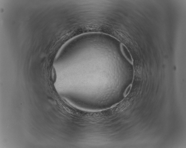 X0000072990817200607211156