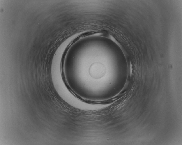 X0000072990818200607211156