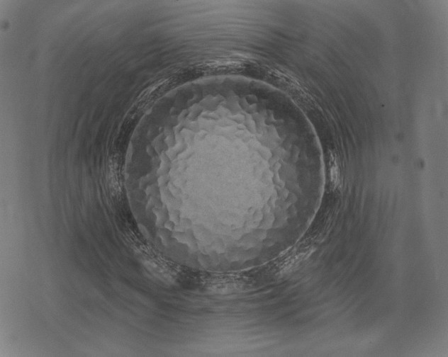 X0000072990819200607211156