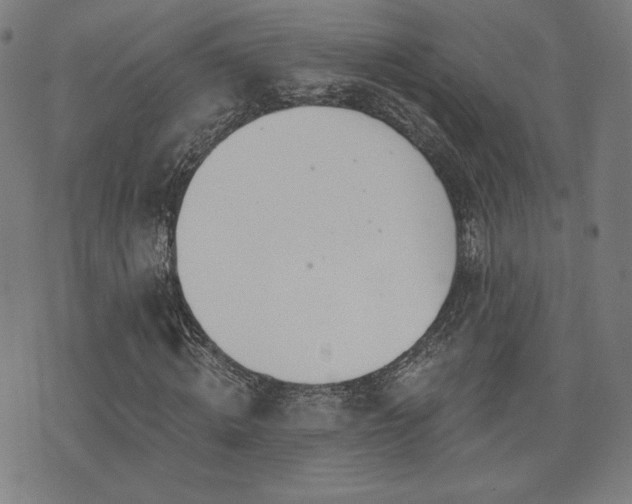 X0000072990820200607211156