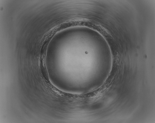 X0000072990821200607211156