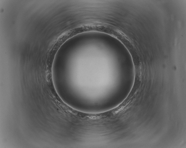 X0000072990822200607211156