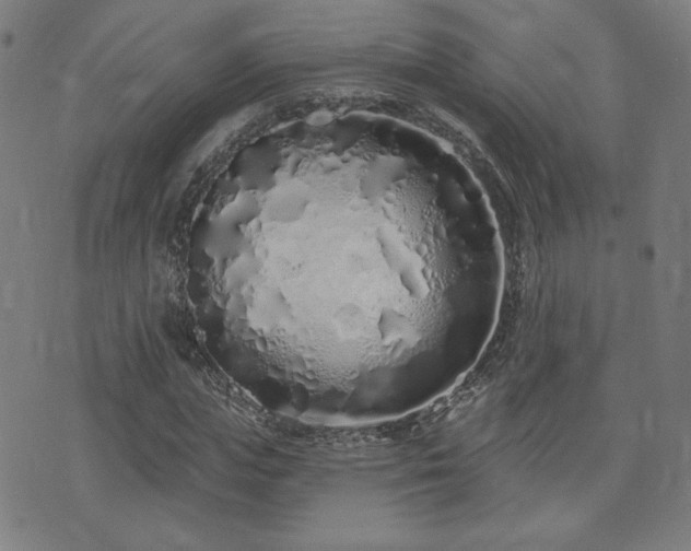 X0000072990823200607211156