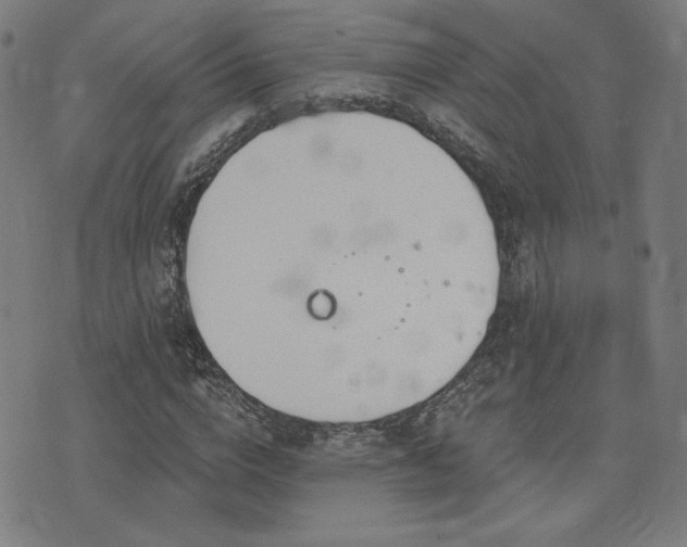 X0000072990824200607211156