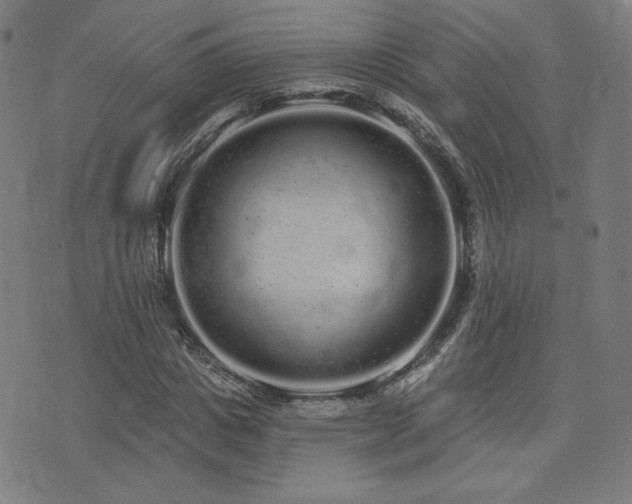 X0000072990825200607211156