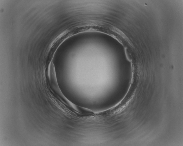 X0000072990826200607211156