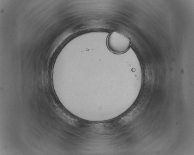 X0000072990828200607211156