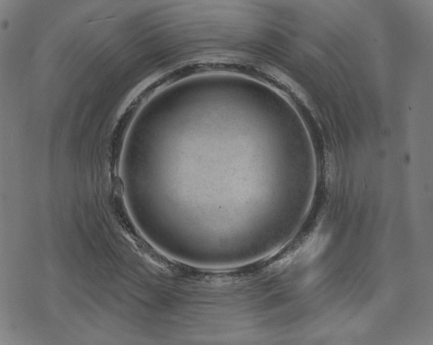 X0000072990829200607211156