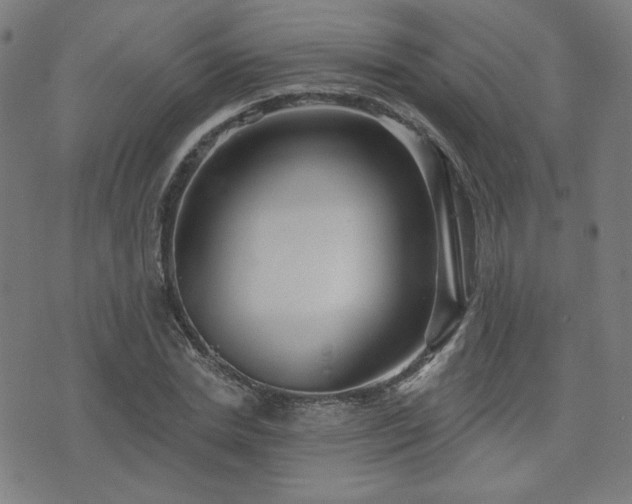 X0000072990830200607211156