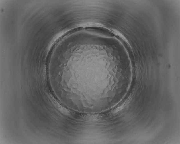 X0000072990831200607211156