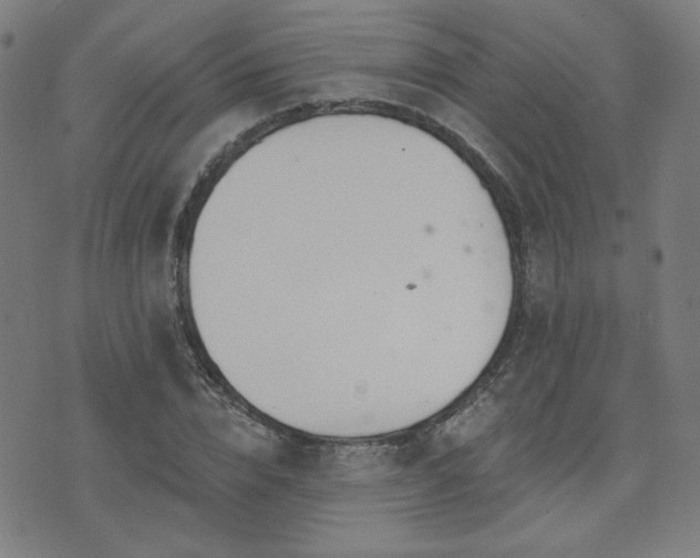 X0000072990832200607211156